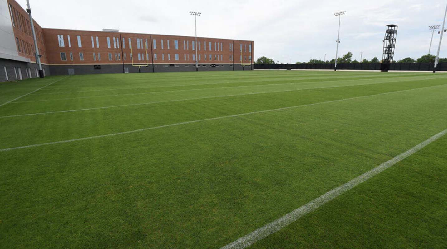 Construction and Maintenance of NATURAL Turf grass